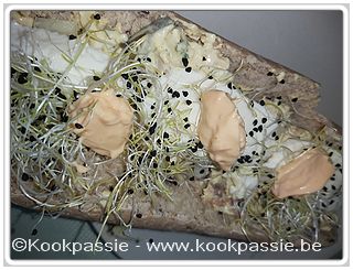 kookpassie.be - Broodje met kip en scheutjes