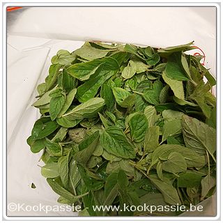 kookpassie.be - Kruiden in vriezer: Oregano, Thaise bieslook, Citroenmelisse en Basilicum 1/4