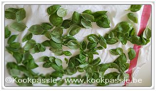 kookpassie.be - Kruiden in vriezer: Oregano, Thaise bieslook, Citroenmelisse en Basilicum 1/4