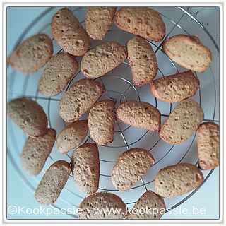 kookpassie.be - Pumpkin cookies