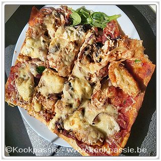 kookpassie.be - Pizzadeeg (Lidl) - Pizzatomatensaus - gebakken kip - Champignons - rode  uit - mascarpone - kruiden - gemalen kaas Entremont