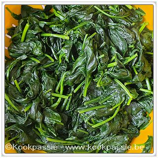 kookpassie.be - Spinazie voorraad vriezer