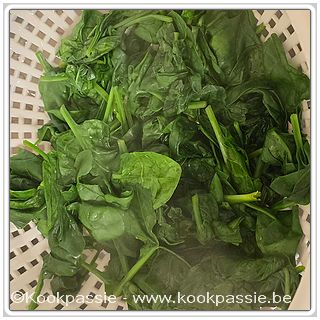 kookpassie.be - Kookmiddag : Bio Spinazie (vriezer)