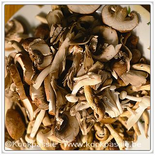 kookpassie.be - Belgische Champignons: Pasta Mix en Pioppino
