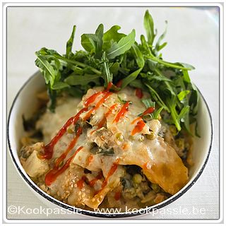 kookpassie.be - Goyzas met paksoy, ui, look, erwtjes, gember, brikje kokosmelk, chilipeper en groene currypasta (2d) 1/2