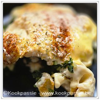 kookpassie.be - Tortellini con carne schotel: bloemkool, beenham, boerenkool, tortellini en bechamel in de oven