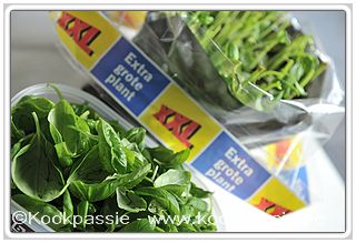 kookpassie.be - Basilicum koopje Lidl XXL plant invriezen blaadjes