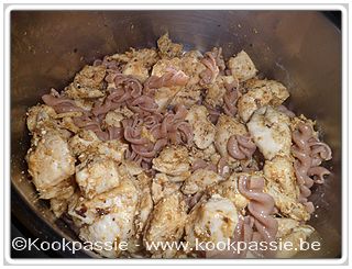kookpassie.be - Koude schotel met spelt-spirelli (bah) en kip met Gribiche saus (foto vergeten)